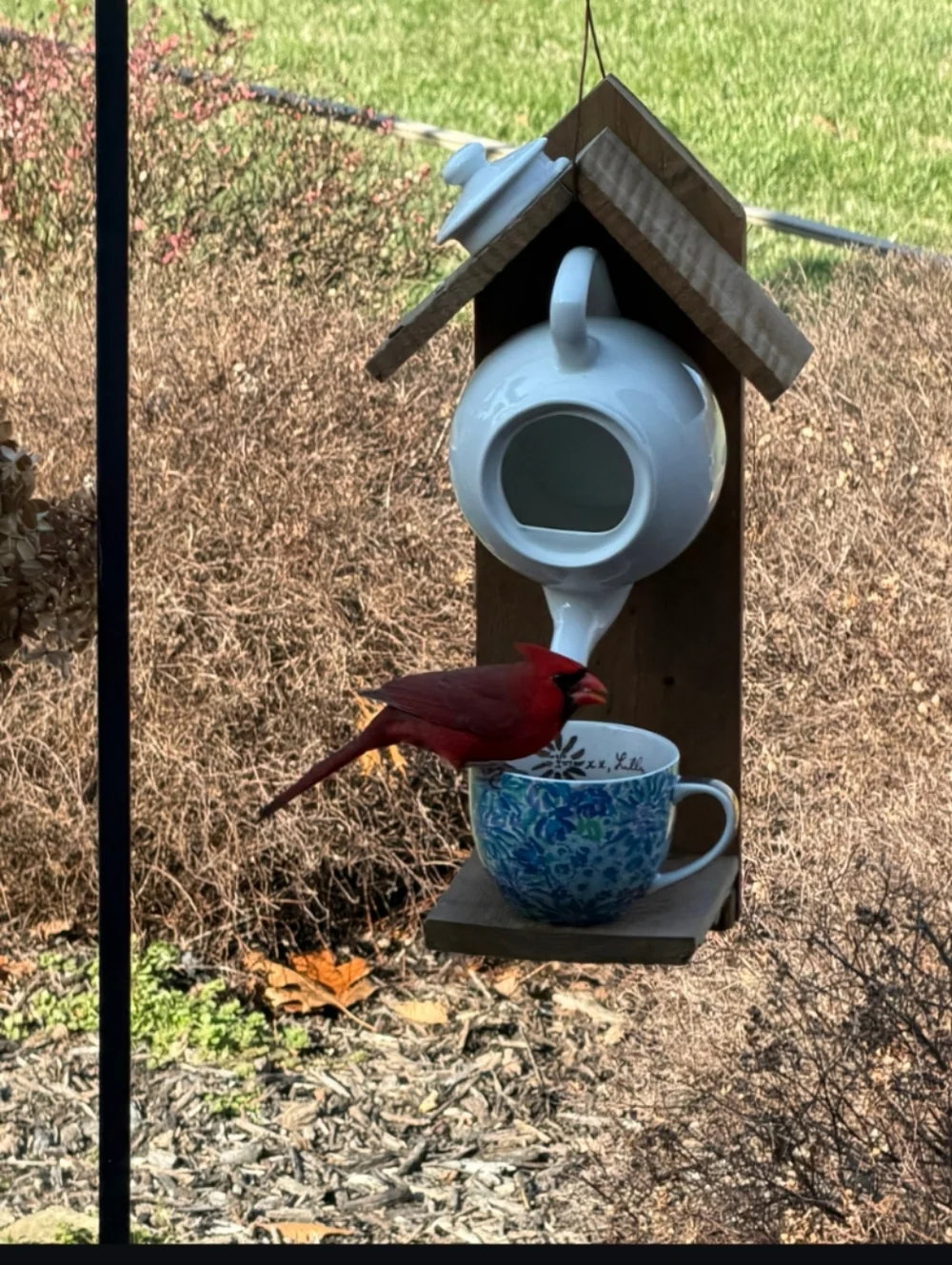 Rustic Wooden Handmade Bird Feeder Teapot Green Tea